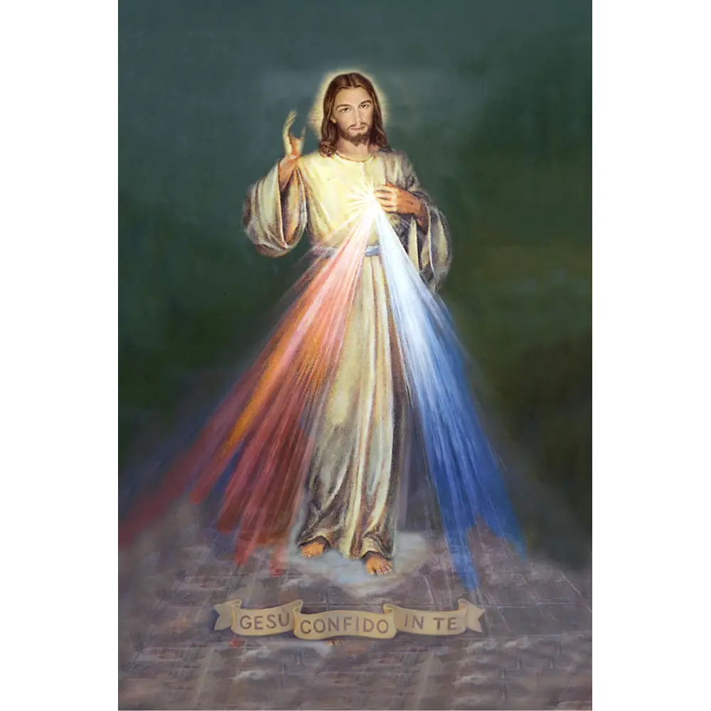 Fotoporcellana Gesu Misericordioso - Santi | Velpas